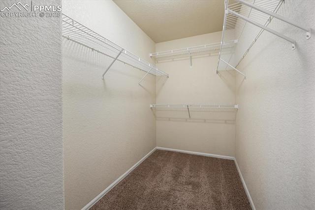 13038 Devils Thumb Place