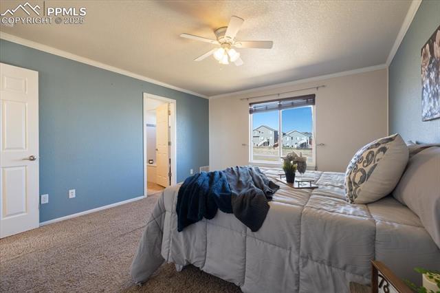 13038 Devils Thumb Place