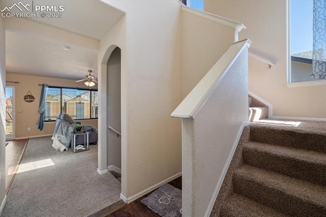 13038 Devils Thumb Place