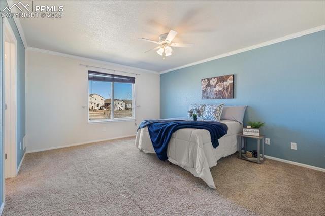 13038 Devils Thumb Place