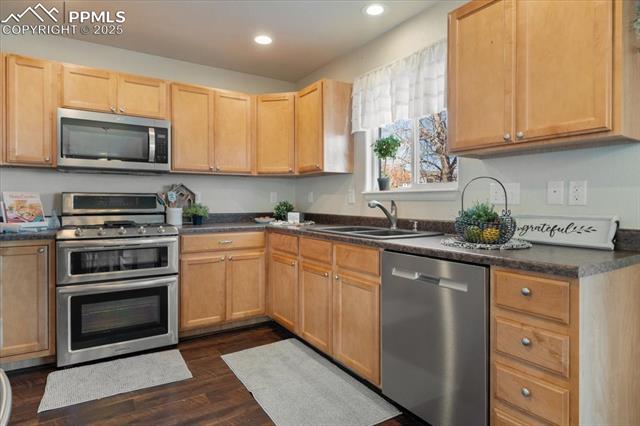 13038 Devils Thumb Place