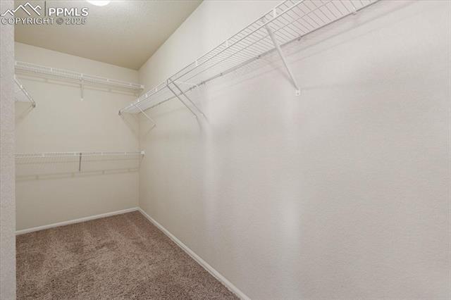 13038 Devils Thumb Place