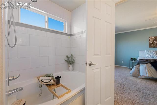 13038 Devils Thumb Place