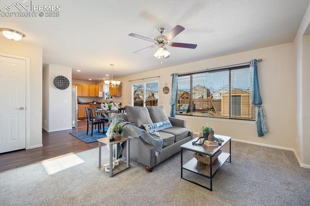 13038 Devils Thumb Place