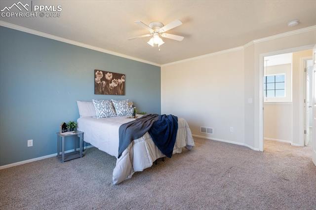 13038 Devils Thumb Place