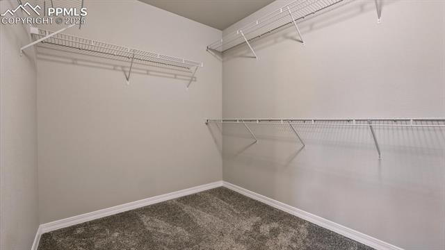 4318 Kaolin Court