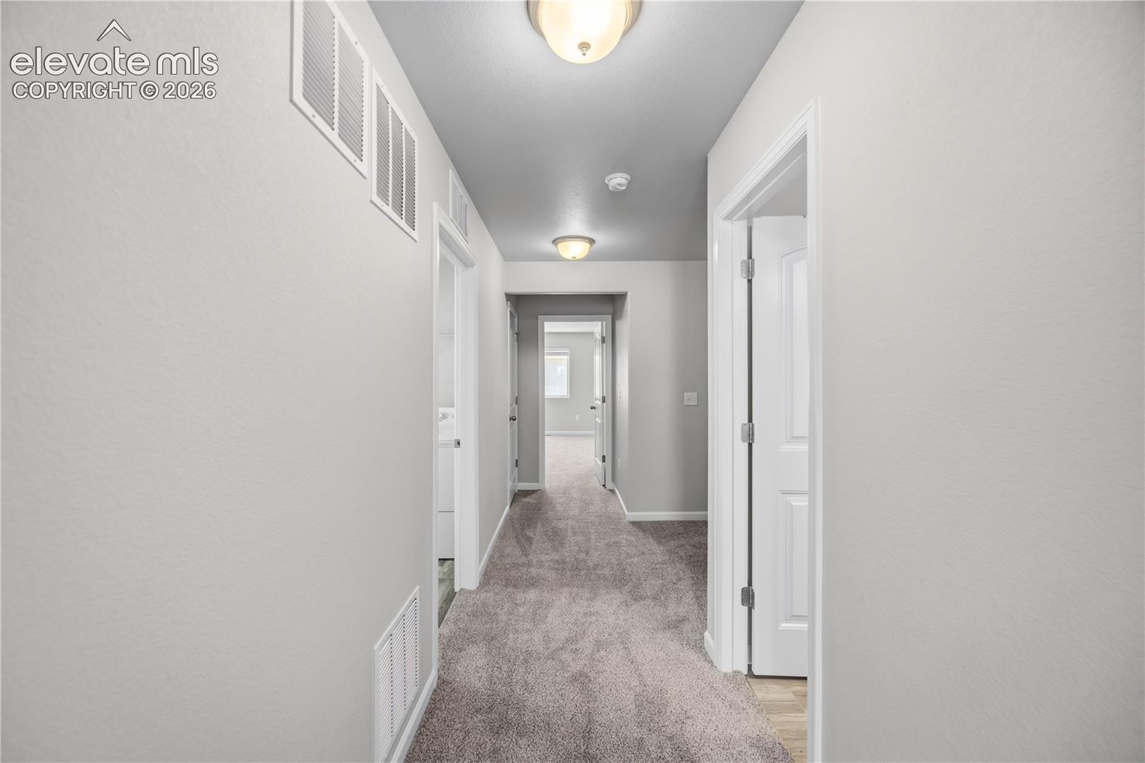 1062 Petra Heights