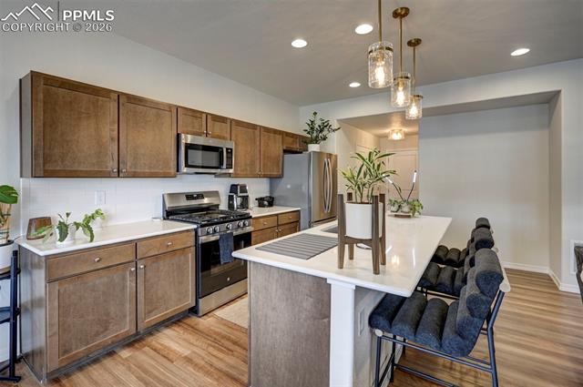 4982 Amazonite Drive