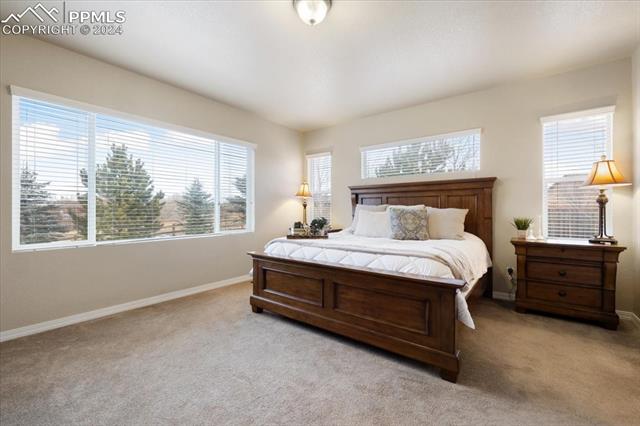 6770 Silver Star Lane