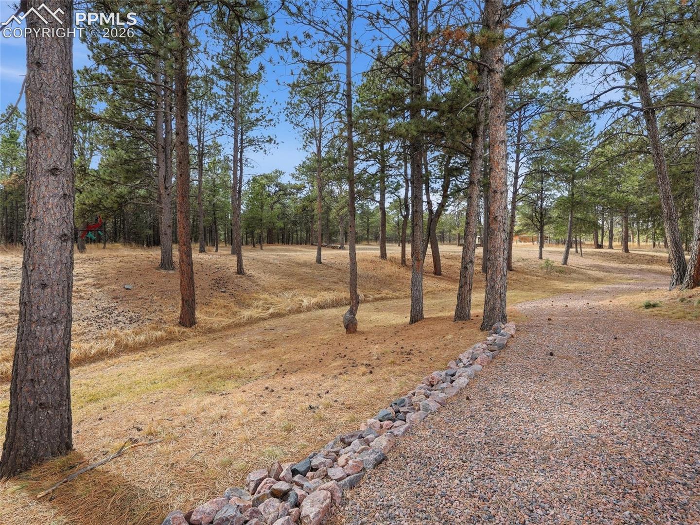 12855 Murphy Road
