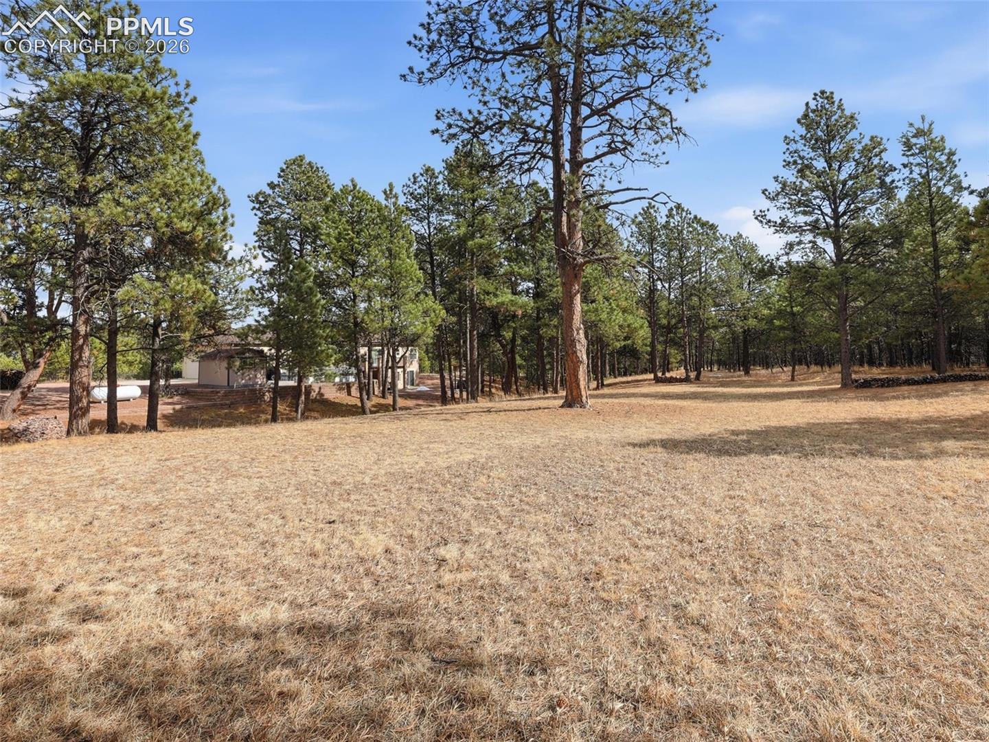 12855 Murphy Road