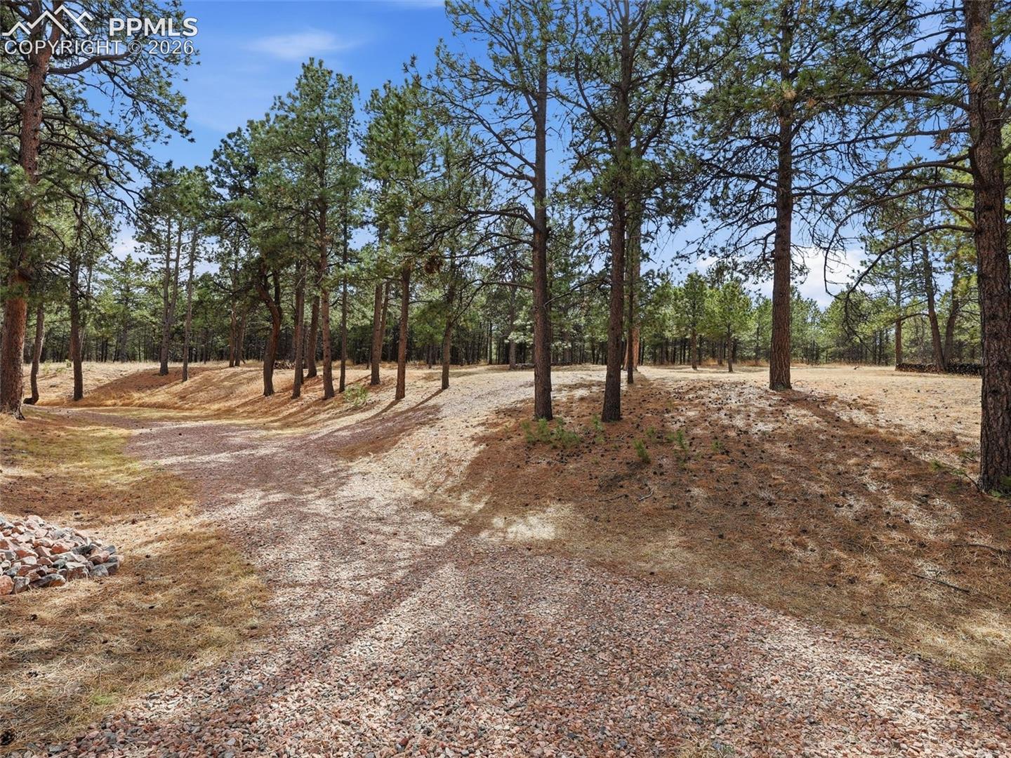 12855 Murphy Road