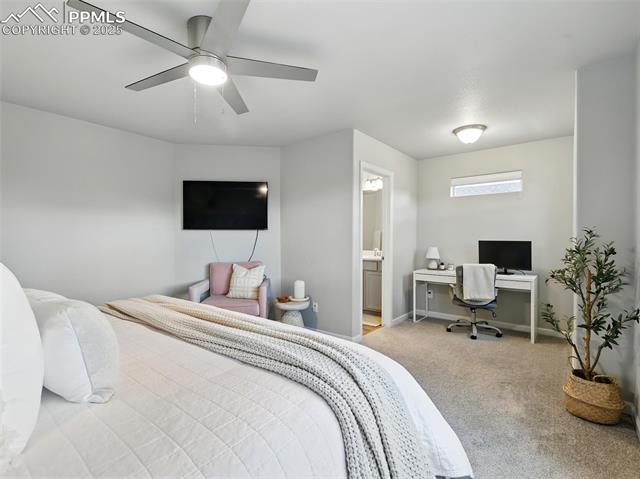 10488 Castor Drive