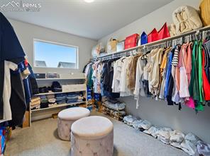10488 Castor Drive