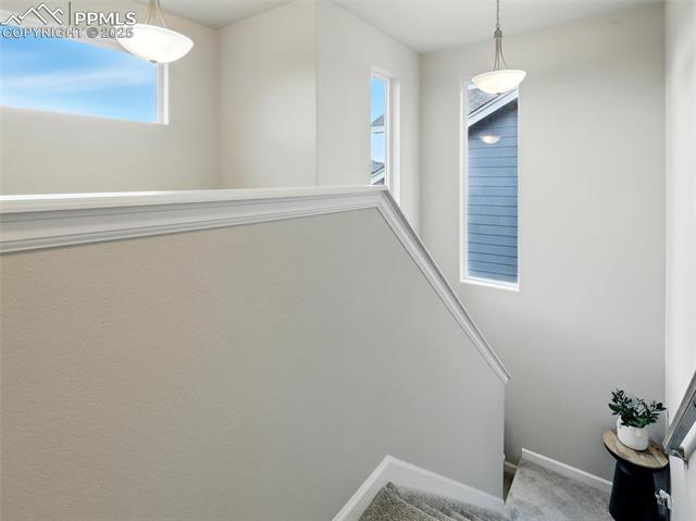10488 Castor Drive