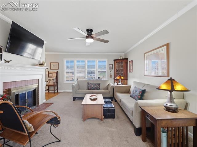 3125 San Luis Drive