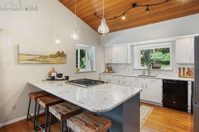 2530 White Rock Lane