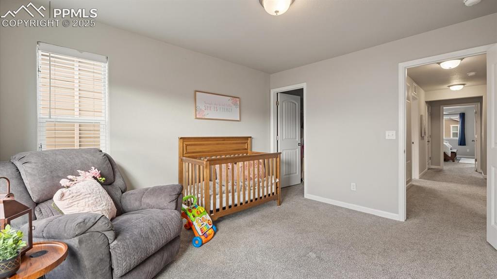 1008 Petra Heights