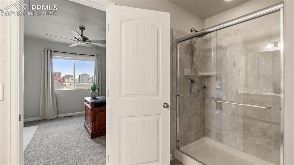 1008 Petra Heights