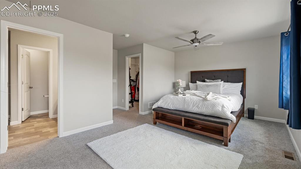 1008 Petra Heights