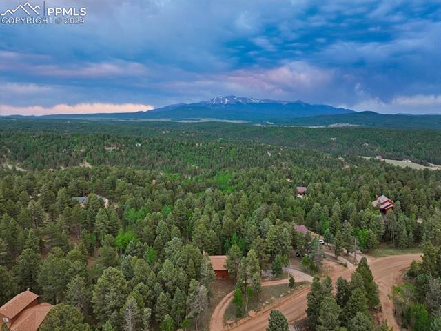 313 Blue Mesa Drive