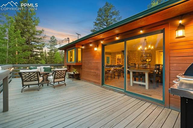 313 Blue Mesa Drive