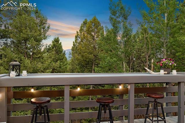313 Blue Mesa Drive