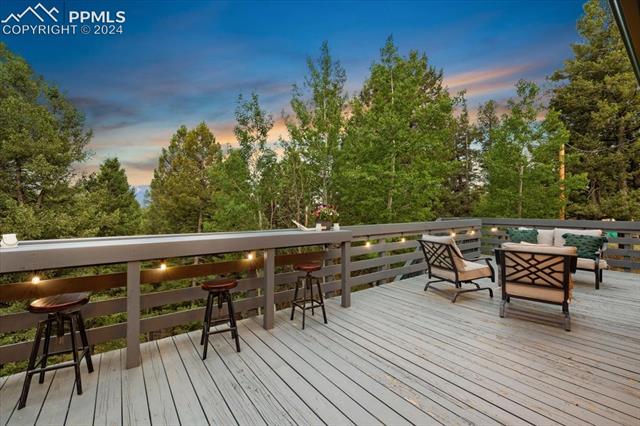 313 Blue Mesa Drive