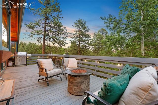 313 Blue Mesa Drive