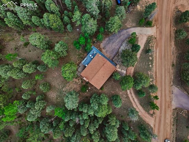 313 Blue Mesa Drive