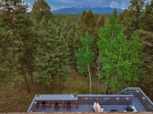 313 Blue Mesa Drive