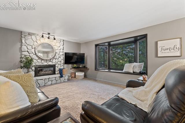 313 Blue Mesa Drive
