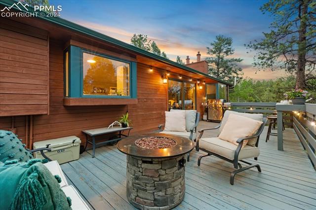 313 Blue Mesa Drive