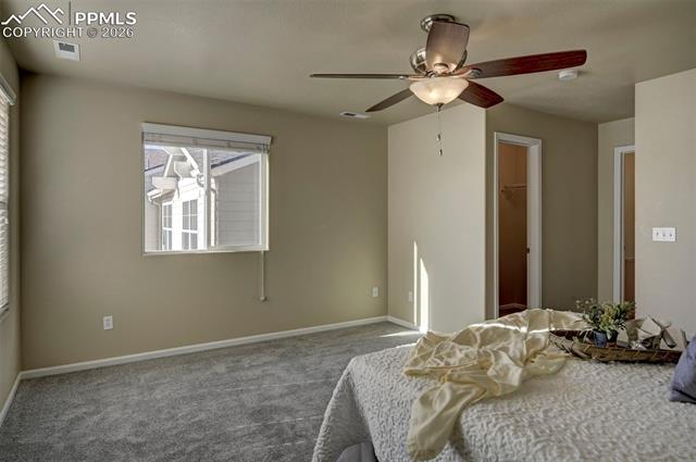 5653 Saint Patrick View