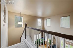 925 Evening Star Court