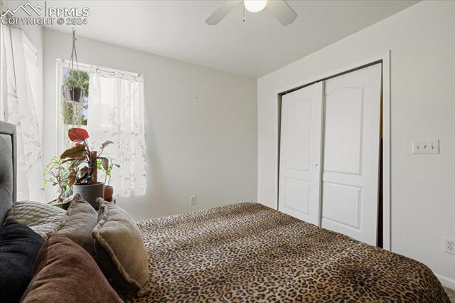 925 Evening Star Court