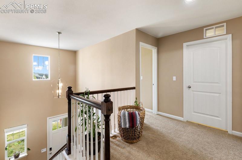 6838 Cottonwood Tree Drive