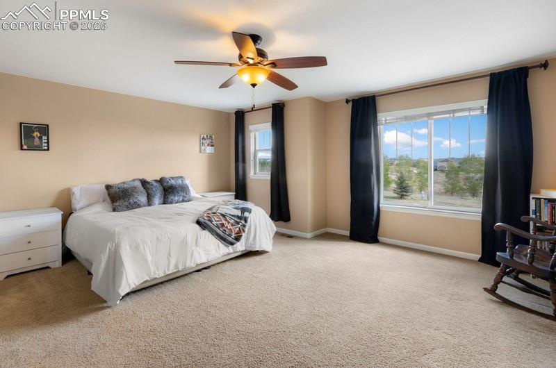 6838 Cottonwood Tree Drive