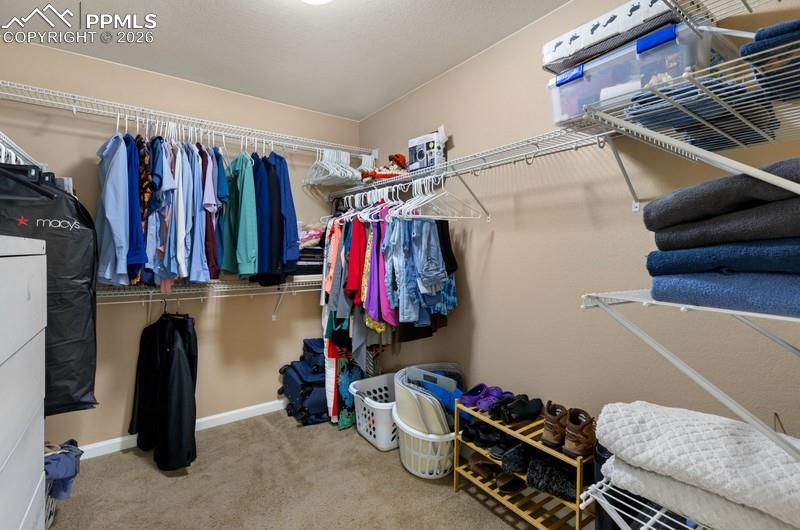 6838 Cottonwood Tree Drive