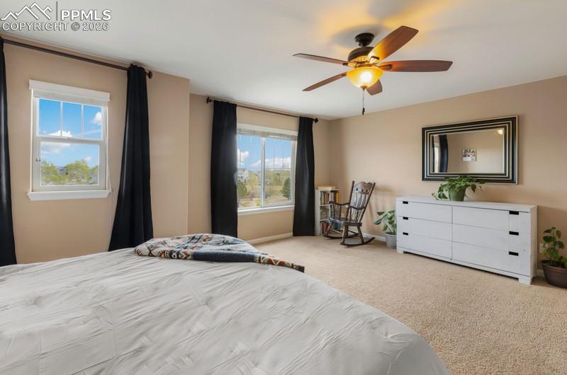 6838 Cottonwood Tree Drive