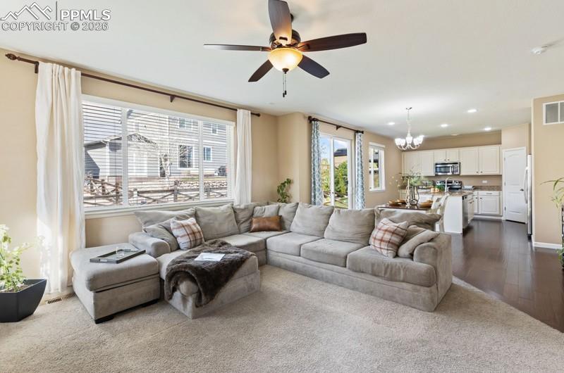 6838 Cottonwood Tree Drive