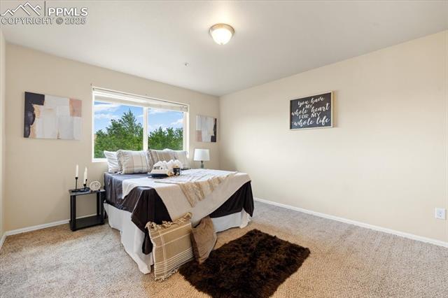 791 Hailey Glenn View