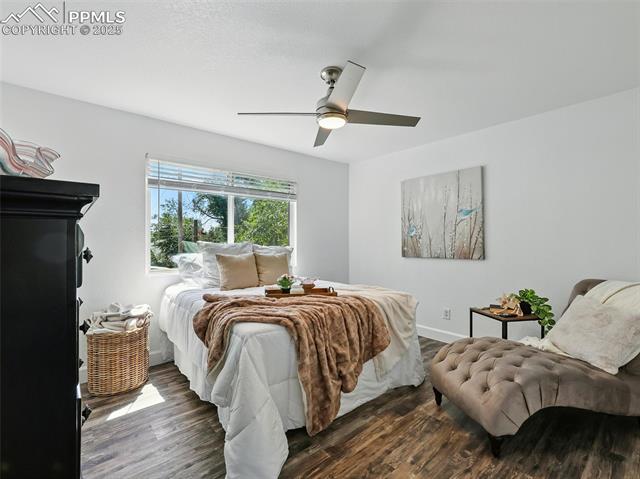 823 Sequoia Drive
