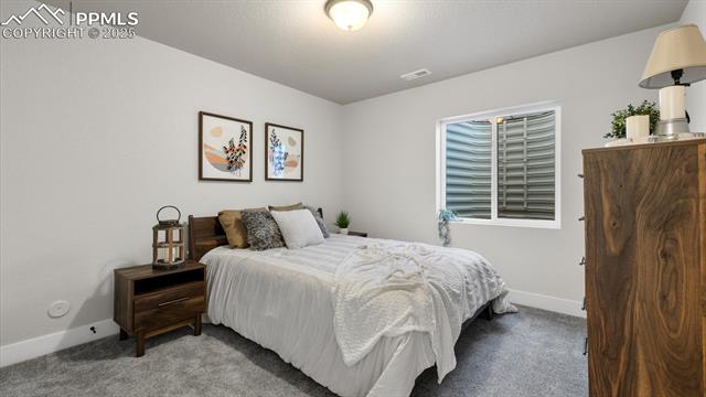 13358 Savannah Falls Court