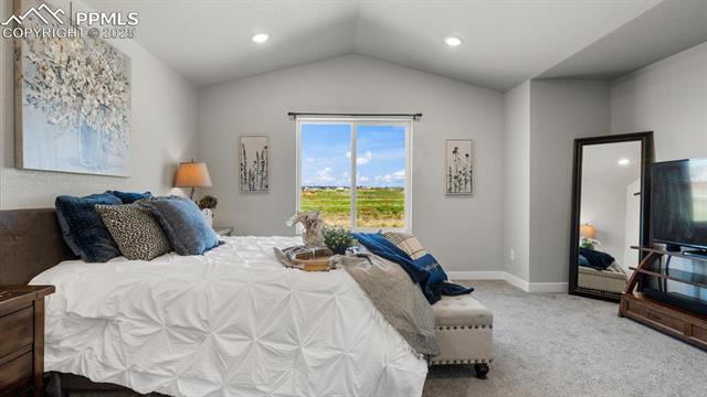 13358 Savannah Falls Court