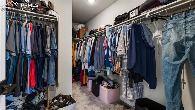 13358 Savannah Falls Court