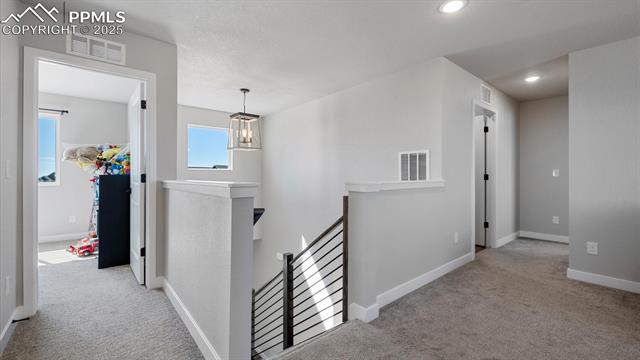 13358 Savannah Falls Court