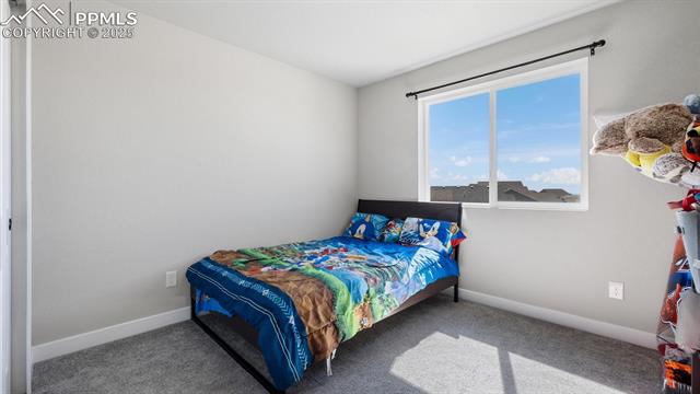 13358 Savannah Falls Court