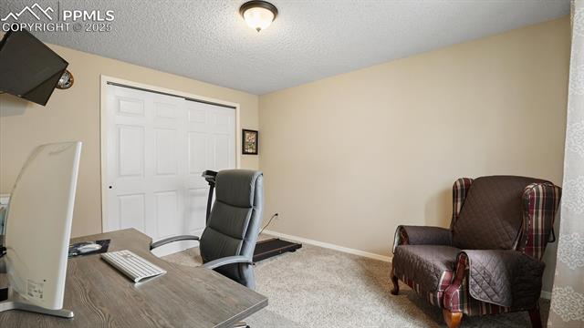 6168 Chestnut Moon Drive