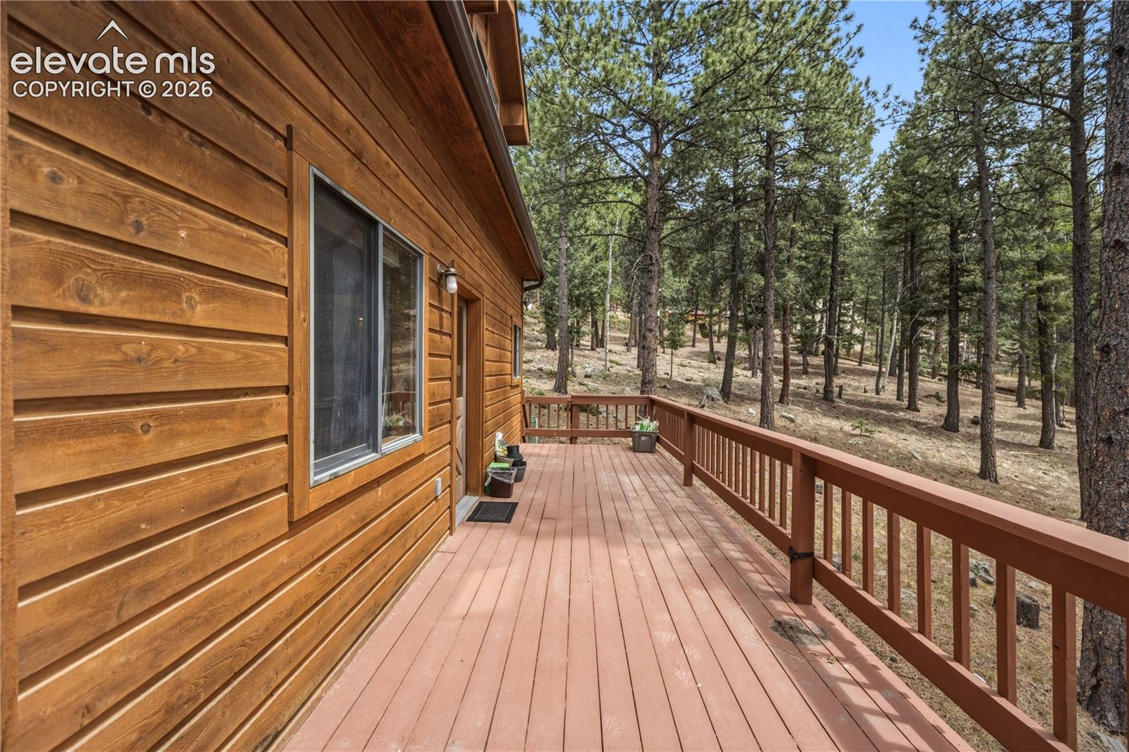 1241 Forest Edge Road